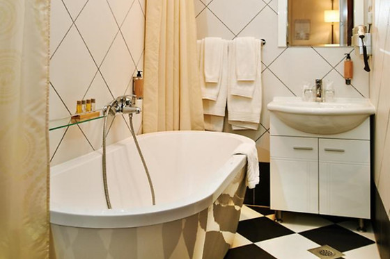 Hotel Phoenix - photo 18