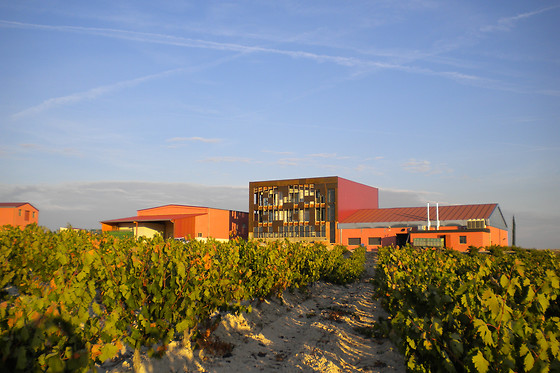 BODEGA DIAZ BAYO - photo 1