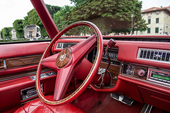 Cady Cruise - photo 13