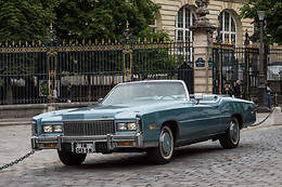 Cady Cruise