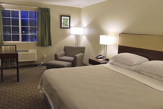 Online Booking EPS - photo 3