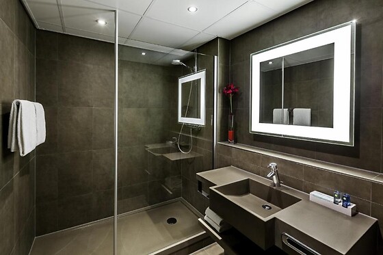 Hôtel Novotel Lille Aéroport - photo 8
