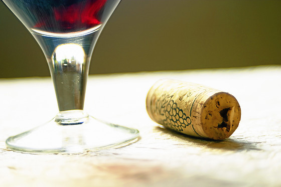 Domaine Brisson - photo 11