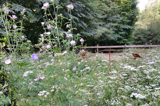 Nuit insolite aux Naturelles Insolites à Pronleroy (60)