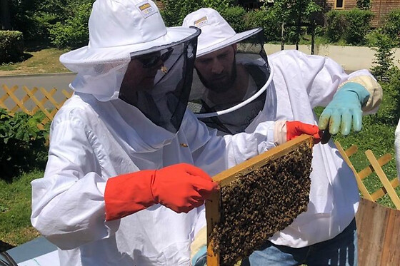 Stage 1/2 journée Apiculture à Beaumes-de-Venise près d'Orange