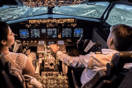 Simulateur de vol d'avion de ligne Boeing 737 à Pontoise (95) - Offre 1
