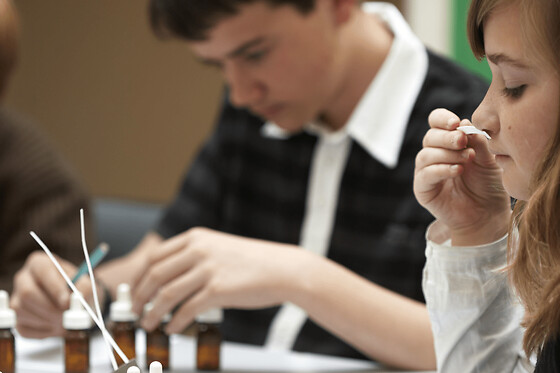 Atelier parfum interactif 