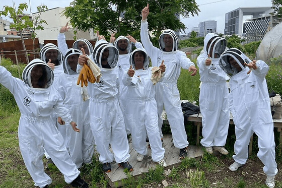 Stage journée apiculture à Blaye près de Bordeaux