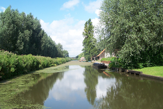 O marais - photo 3