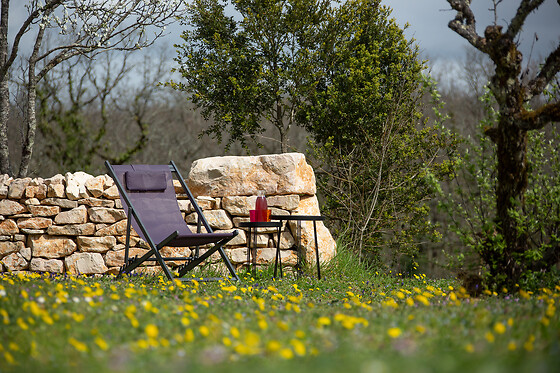 Domaine de Bel-Air - photo 11