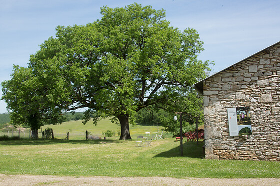 Domaine de Bel-Air - photo 12