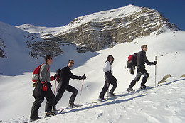 Montagne Mélézin