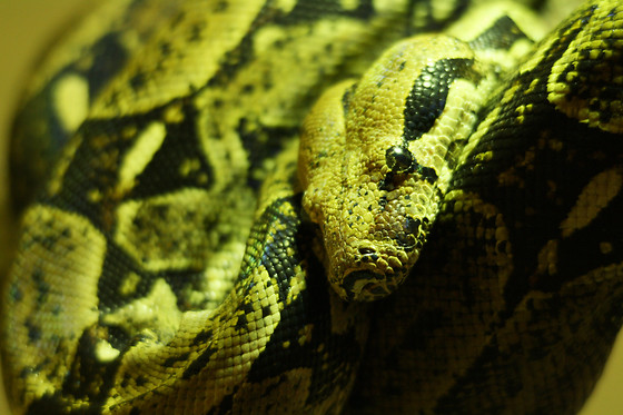 Zoo La Boissière du Doré - photo 6