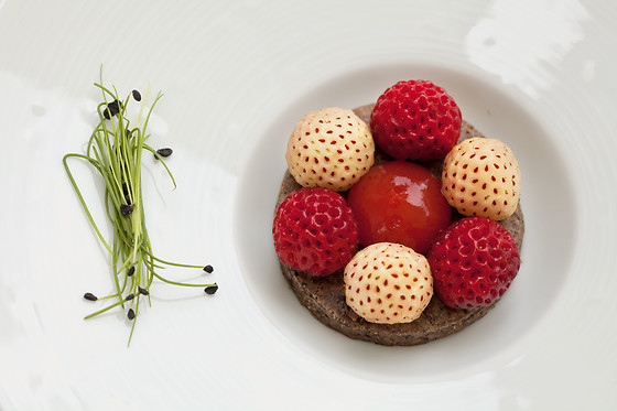 Un repas pour 2 au Restaurant du Château - Gastro à Chancelade (24)