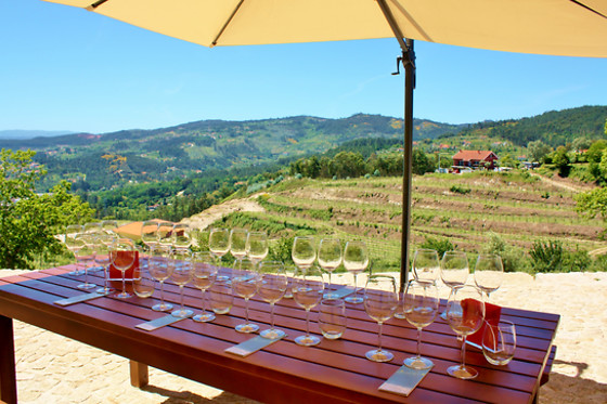 QUINTA DE SANTA CRISTINA - photo 2