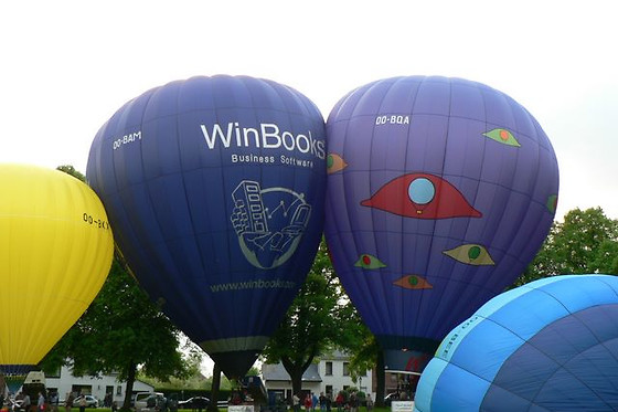 Pearl Balloon - photo 2