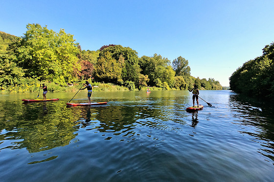 Balade en Dragon Boat pour 5 - Pagaies en Seine - Belbeuf (76)