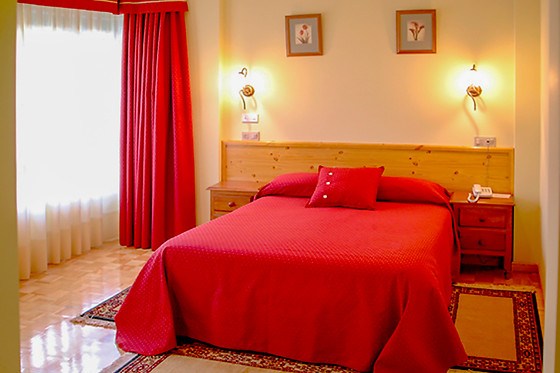 HOTEL SAN BRIZ - photo 2