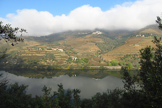 MANOS DO DOURO - photo 12