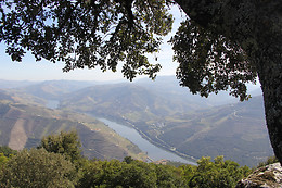 MANOS DO DOURO