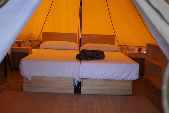 CAMPING ALFACS - photo 0