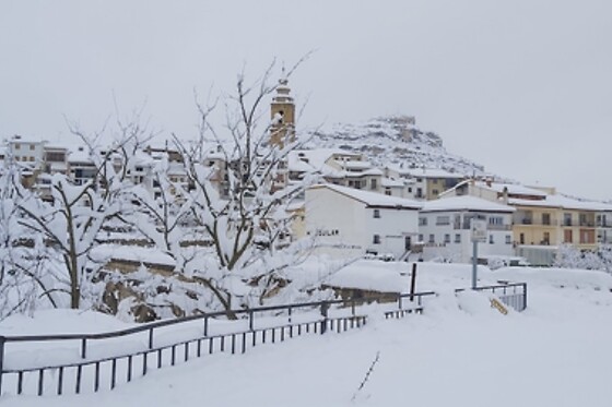 Online Booking EPS - photo 0
