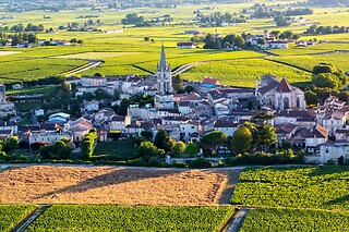Vol en ULM - Appy ULM - Les Artigues de Lussac (33)