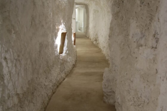 CASA TÚNEL NIDO DE ÁGUILAS - photo 8