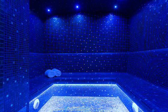 Hôtel & Spa Napoléon - photo 15