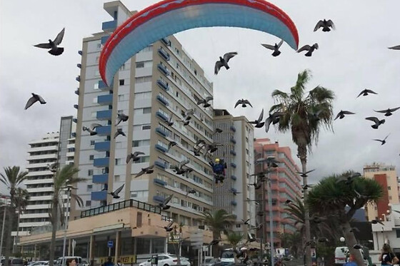 PARAPENTE CANARIAS - photo 4
