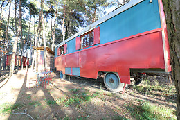 1001 Cornes