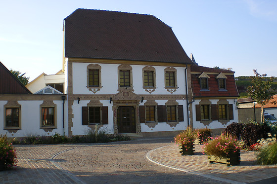 Domaine de Rouffach - photo 16