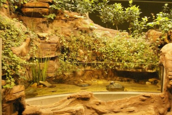 FLUVIÁRIO DE MORA - photo 1