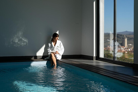 HOTEL FREIXO DOURO SUPERIOR**** - photo 3