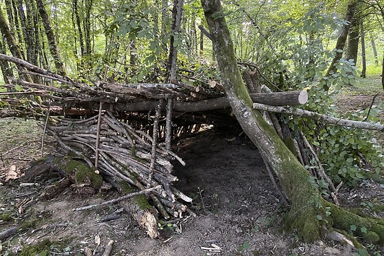 Atelier Bruni Castor / Camp du Père Castor - photo 0