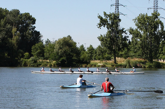 Initiation à l'aviron pour 2 - Toulouse Aviron Sports et Loisirs - Toulouse (31)