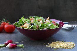 Urban Garden Café - Toulouse