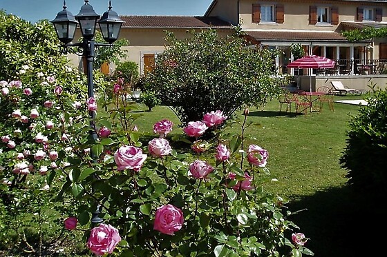 La farigoule - photo 2