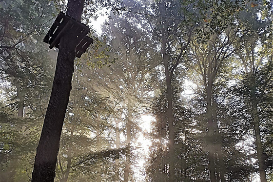 Avenature - photo 3