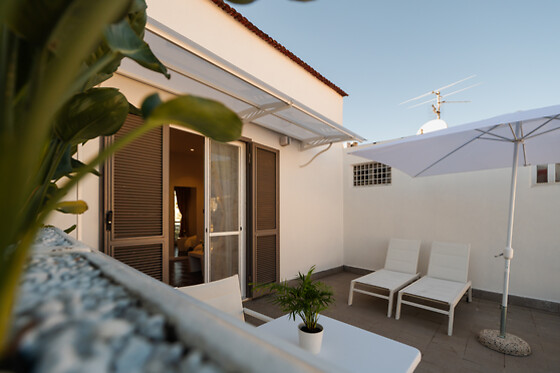 Terra Mia - photo 4