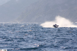 Frojo Powerboat Events