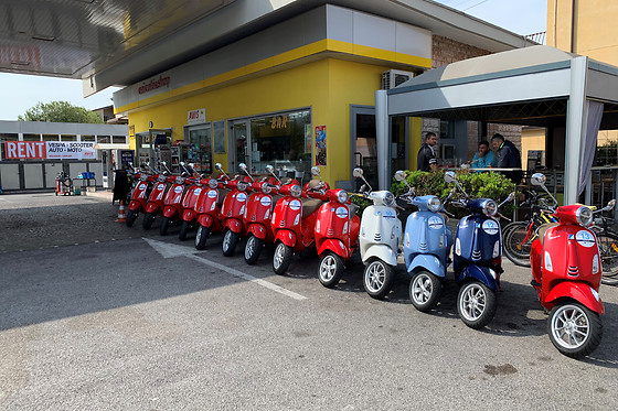 Rentgarda - photo 9
