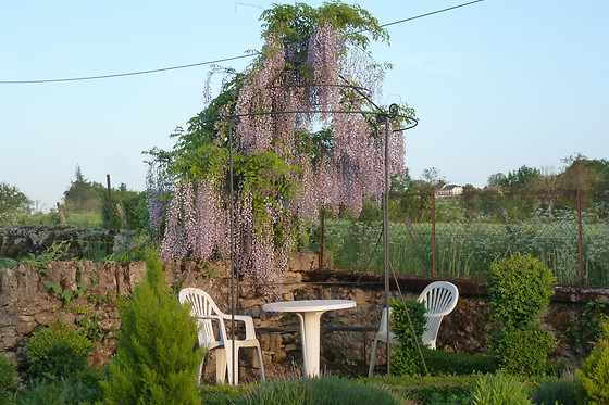 Lou Caussinhol - photo 10