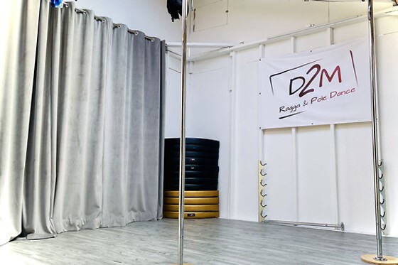 D2M Ragga & Pole Dance - photo 2
