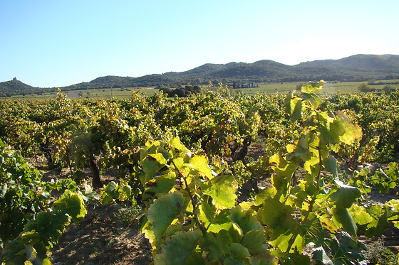 Maison Rivier - photo 9