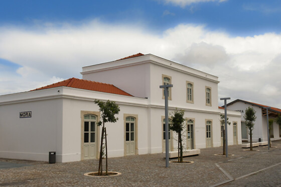 FLUVIÁRIO DE MORA - photo 14