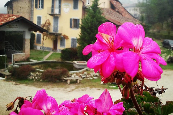 Azienda Agricola Grancollina - photo 1
