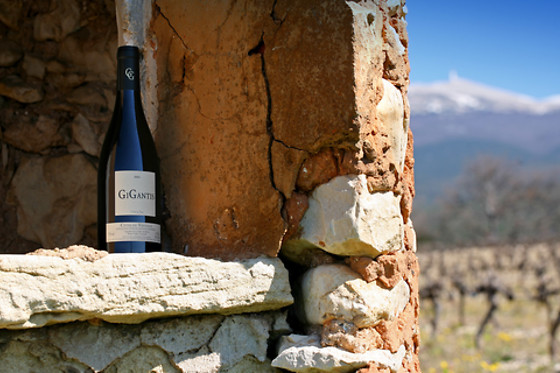 VMV Vignerons du Mont Ventoux - photo 0