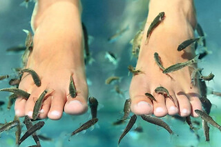 Fish Spa à Sélestat (67) - Fish Spa en solo