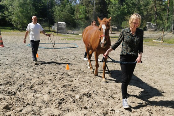 Action Equicoaching - photo 2